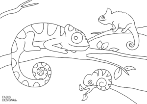 Chamäleon_Familie_V_1_klein