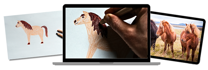 Mockups-Pferd_1